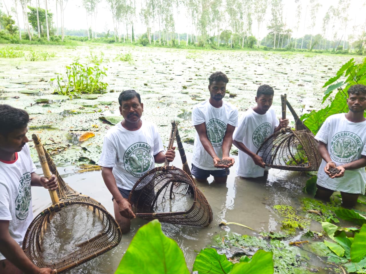 GreenFarmer makhana farms
